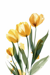 A simple, minimalistic illustration of yellow tulips with green foliage on a white background. Greeting card with spring mood