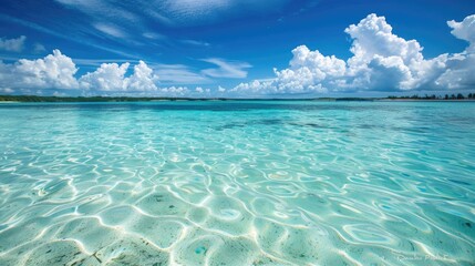 Crystal clear turquoise water and blue sky at tropical beach. World Oceans Day