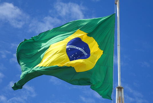 Brasil bandeira 