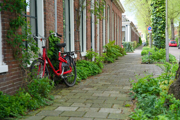 Green façade gardens and tree pit gardens for urban greening and climax adaptation