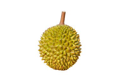 Durian fruit, fruit illustrations and background images