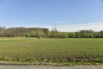 Paysage rural au début du printemps sous un ciel bleu à Ghislenghien 