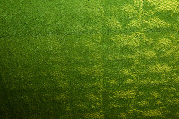 Green grass texture photograph.