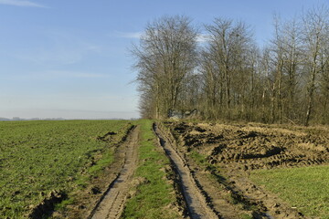 Chemin à l’emplacement de l'ancienne ligne de chemin de fer à Silly 