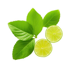 A half of lime and leaves of mint isolated on white background