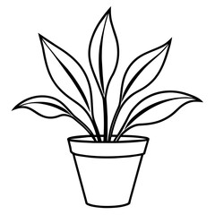      Plant in pot vector illustration line art.
