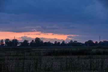 primo piano, da un'area rurale e naturale di campagna nel nord est Italia, di un tramonto...