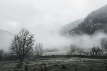 Rolling fog in a misty valley