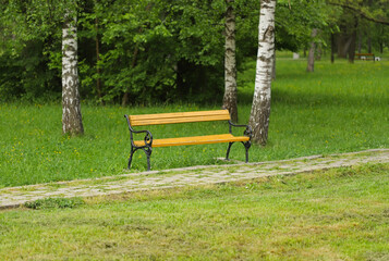 Yellow bench in the park