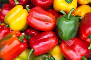 When growing chili peppers at home, they require plenty of sunlight and well-drained soil to...