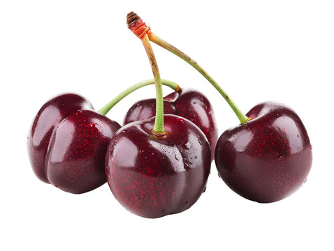 Freshly washed cherries isolated on transparent background.