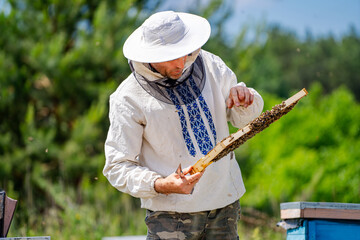 A man in a white hat and a white shirt is holding a piece of wood with bees on it