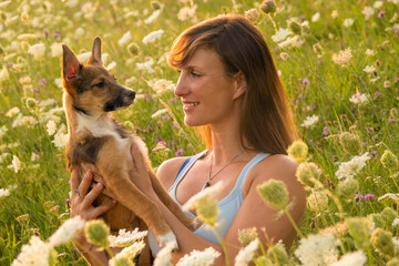 PORTRAIT, DOF: Happy dog owner holds her adorable young puppy as they sit in the middle of a meadow with blooming wildflowers in golden sunlight. Moments of happiness with a cute furry companion.