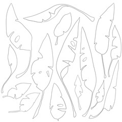 banana leaf decoration set in different positions