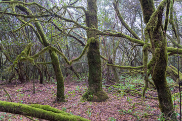 Spain, towns and landscapes