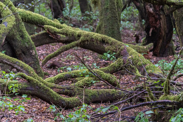 Spain, towns and landscapes