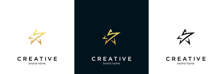 initials s logo vector template star