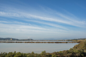 Landscape Molentargius Regional Natural Park in Cagliari City Sardinia