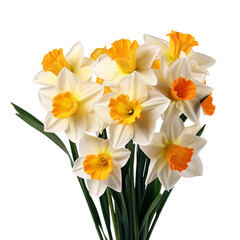 Fototapeta na wymiar a bouquet of white and yellow daffodils