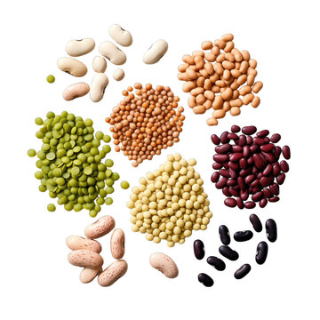 A photo of various types of legumes on a white background
