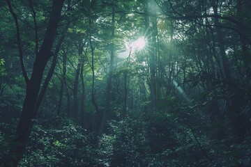 Obraz premium 2021-11-10 A LARGE BLOOMING EARPOD TREE ON KAUAI HAWAII WITH RAIN CLOUDS MOVING IN. Beautiful simple AI generated image in 4K, unique.