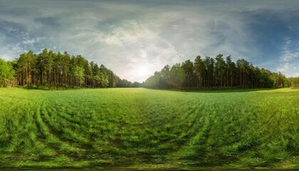 full seamless 360 degree hdri spherical panorama on a large spacious green field sunny weather in the forest glade in the forest vr content