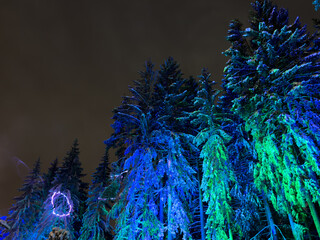 Laser beams and festive illumination in the forest. Christmas tree and decorations texture background. Decorated Xmas tree at night