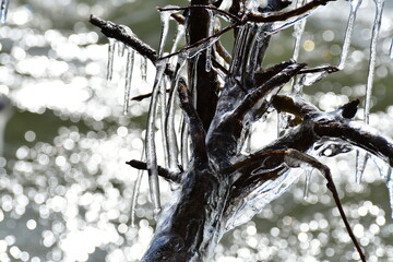 しぶき氷（福島県）