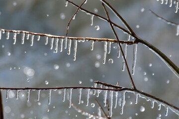 しぶき氷（福島県）