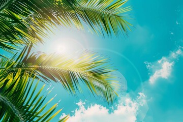 Fototapeta na wymiar Sunlight shining through palm leaves against a blue sky. Summer tropical background 
