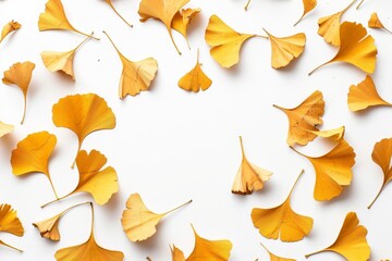 Naklejka premium A close up of yellow leaves scattered across a white background