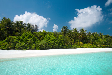 Maldives paradise beach. perfect tropical island. Beautiful palm trees and tropical beach., blue...