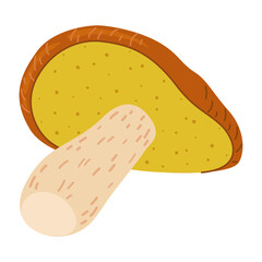 Suillus mushroom. Edible fungus. Hand drawn trendy flat style isolated on white background. Autumn forest harvest, healthy organic food, vegetarian food. Vector illustration