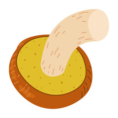 Suillus mushroom. Edible fungus. Hand drawn trendy flat style isolated on white background. Autumn forest harvest, healthy organic food, vegetarian food. Vector illustration