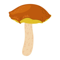 Suillus mushroom. Edible fungus. Hand drawn trendy flat style isolated on white background. Autumn forest harvest, healthy organic food, vegetarian food. Vector illustration