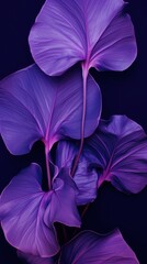 High contrast Botanical purple violet blue.