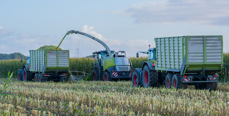 Traktor und Maishäcksler während der Maisernte 