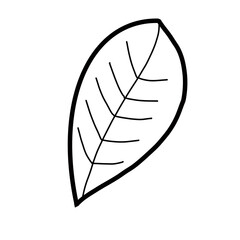 Coffee Leaf Hand drawn organic line doodle