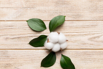 Autumn Floral Flat lay background composition. Dried white fluffy cotton flower branchwith green...