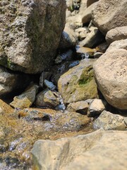 Close-up of rocky wall with water stream and green moss, outdoor setting.