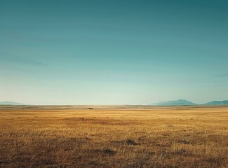 Obraz premium b'Vast Grassland Under Blue Sky'