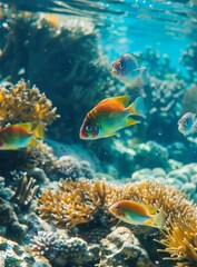 b'Underwater view of a coral reef with various species of fish swimming around'