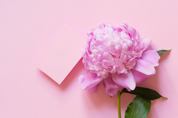 Mother's day card with pink blank and peony flower on pink background