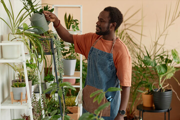 Side view portrait of smiling African American man watering green plants on shelves indoors and enjoying gardening copy space 