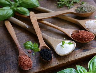 different varieties of salt in wooden spoons - 795447309