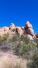 Coronado National Park 