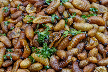 Silkworm edible insect crispy, Fried insects are the most widely sold street food in Thailand. Top...