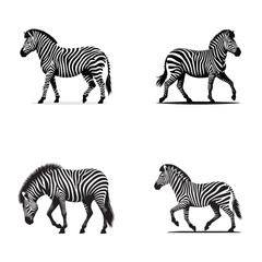 Fototapeta na wymiar zebra black and white silhouette , zebra black vector,zebra black vector png, zebra full vector