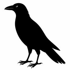 crow silhouette vector illustration