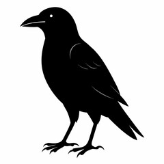 crow silhouette vector illustration